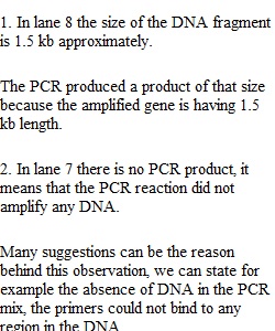 Labs Quiz 2